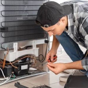 بهترین تعمیرکار هیمالیا کرج