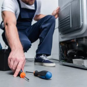 رفع صدای یخچال هیمالیا در شهرقدس