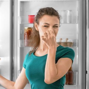 سرویس دورهای هیمالیا کرج