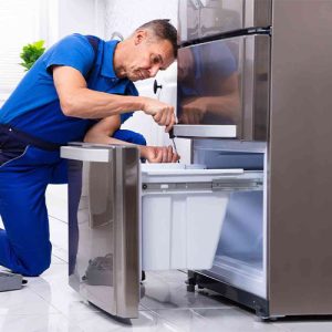 نصب یخچال هیمالیا در شهر قدس