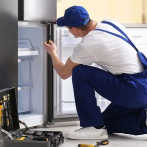 تعمیر یخچال فریزر اسنوا کرج