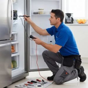 تعمیر یخچال نوفراست هیمالیا