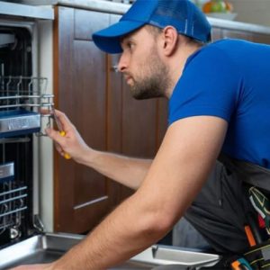 تعمیرات تخصصی هیمالیا عظیمیه