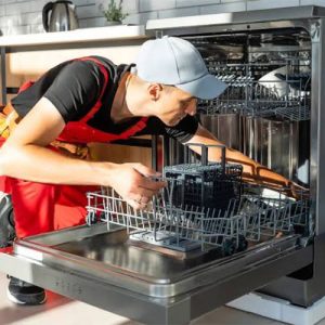 تعمیرات هیمالیا در اندیشه