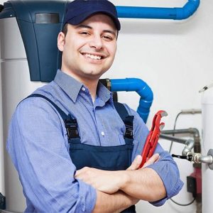 نمایندگی هیمالیا در اندیشه