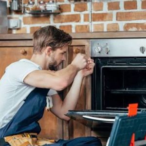کارشناس هیمالیا فردیس
