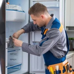 تعمیرات تخصصی یخچال هیمالیا کرج
