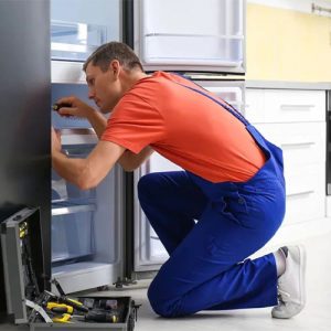 تعمیرات یخچال هیمالیا در کهریزک