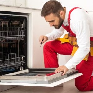 نمایندگی رسمی هیمالیا شهر اندیشه