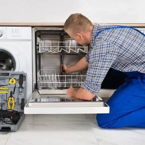 نمایندگی رسمی هیمالیا شهر اندیشه