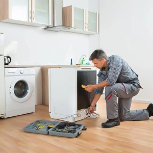 نمایندگی رسمی هیمالیا شهر اندیشه