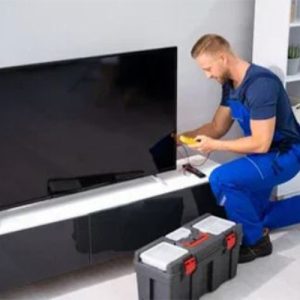 نمایندگی هیمالیا فردیس