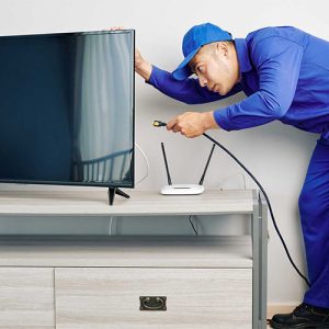نمایندگی هیمالیا فردیس