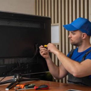 نمایندگی هیمالیا فردیس